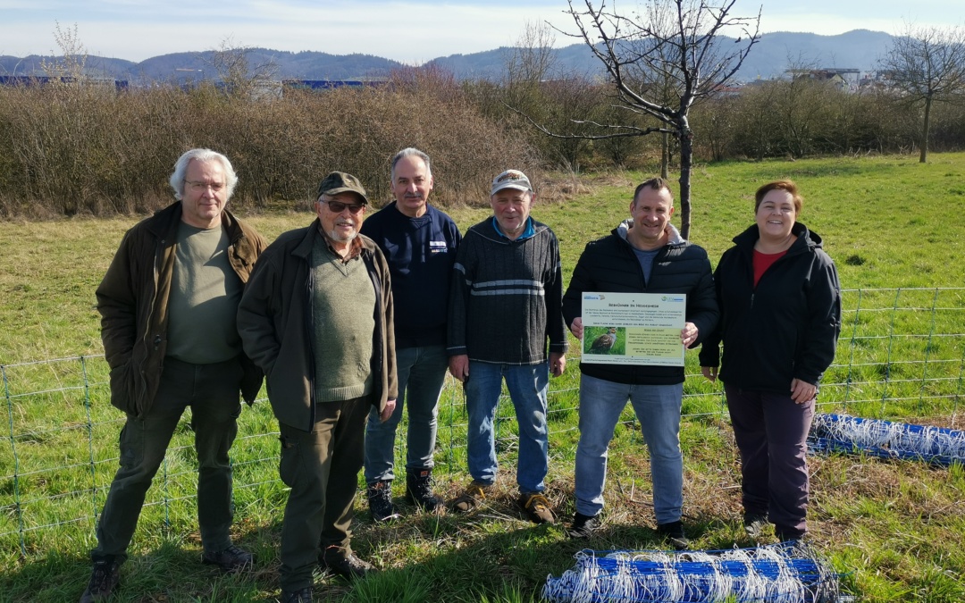 Schutz für Rebhühner: Zaun sichert Brutgebiet in Heddesheim