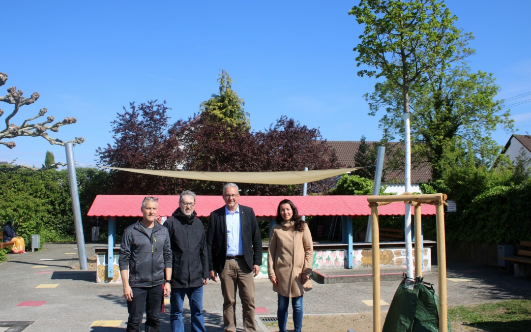 Sonnensegel und zusätzlicher Baum auf dem Spielplatz „Marktstand“ in Walldorf