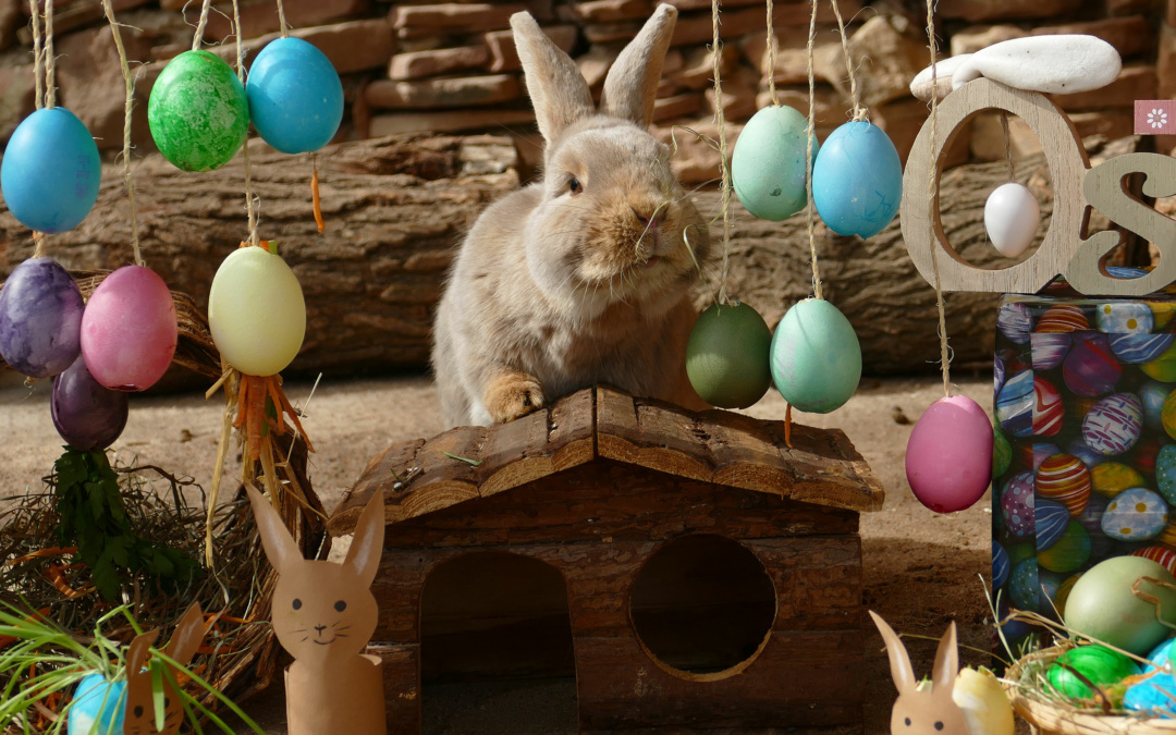 Ostern im Zoo Heidelberg: Frühlingserlebnis für die ganze Familie