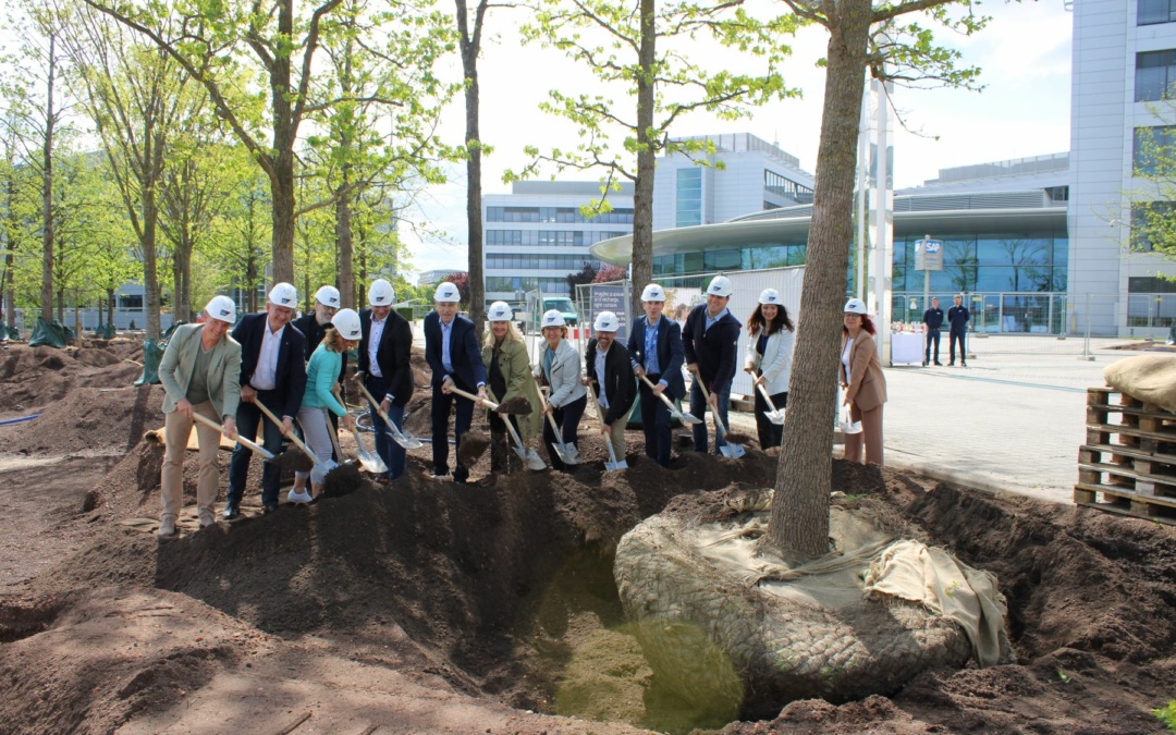 SAP pflanzt 150 neue Bäume auf dem Campus