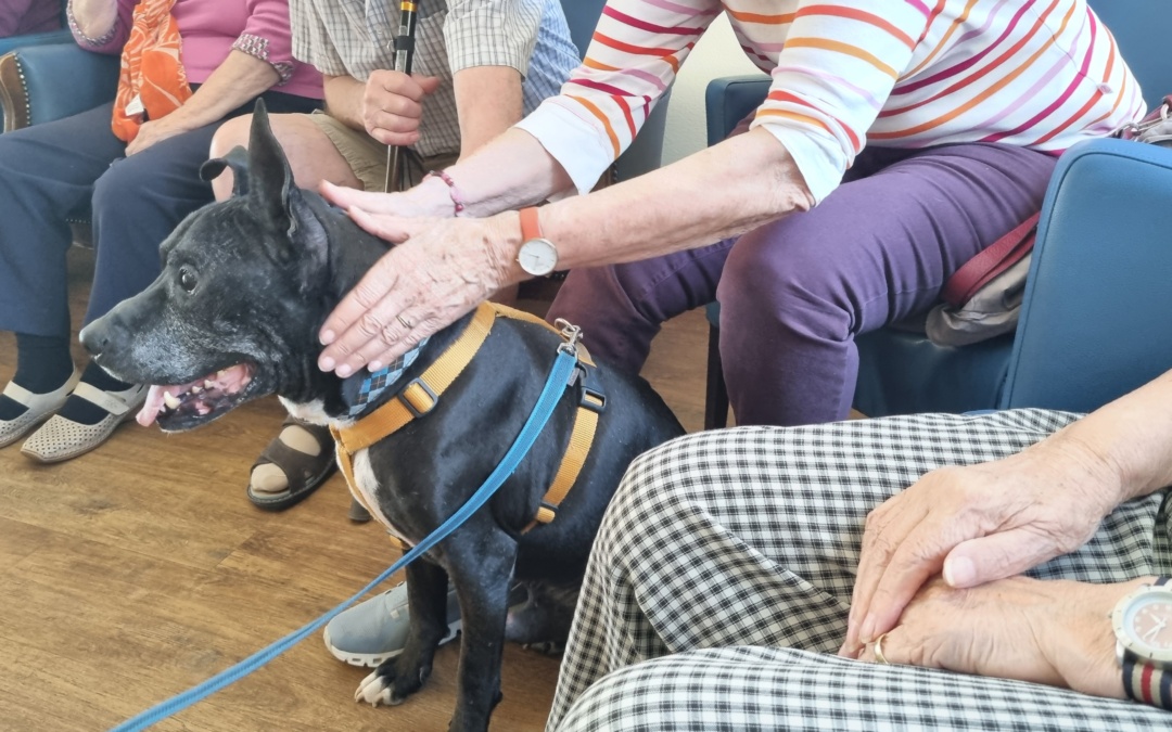 Tierliebe, die bewegt – auch außerhalb des Tierheims