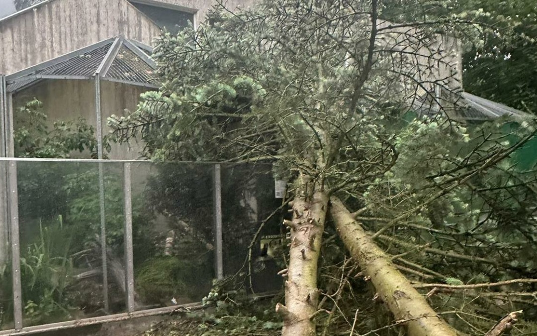 Tierpark Walldorf muss morgen, Sonntag, 01. Juni, geschlossen bleiben