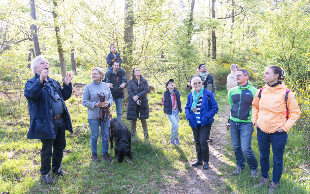 Faszinierende Vogelwelt: Von raffinierten Trickbetrügern und beeindruckenden Langstreckenfliegern