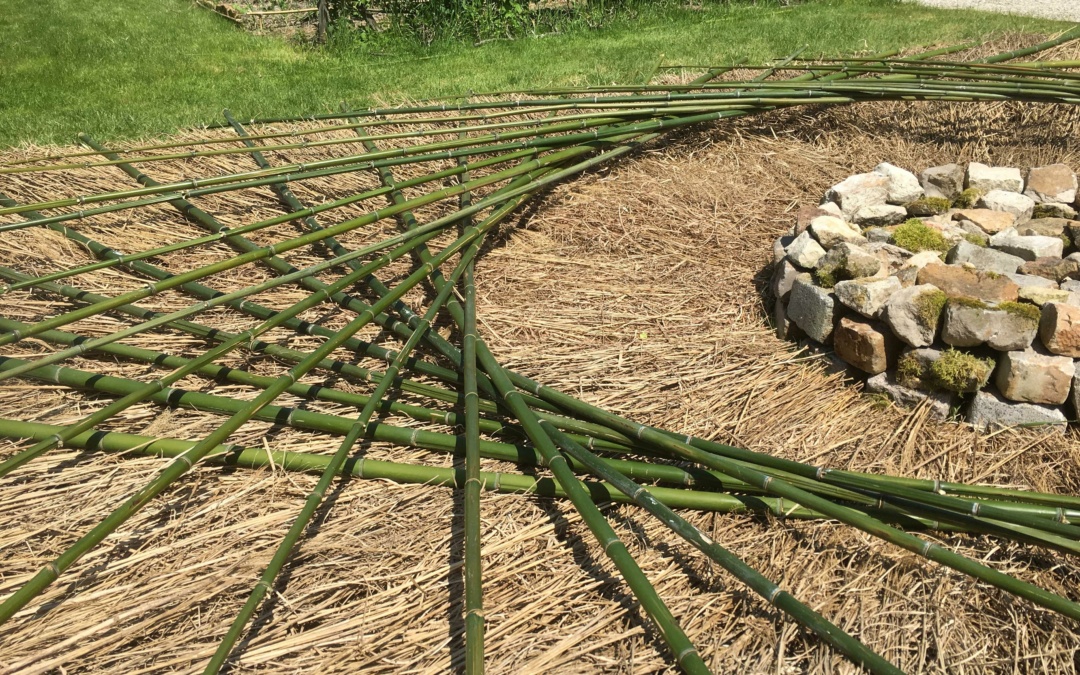 „Naturformen – Natur formen“ – Ausstellung zeigt Naturformen in Kunst