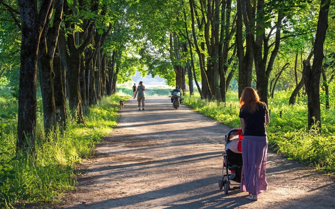 Kinderwagen & Co.: Gut vorbereitet auf Tour in Wiesloch-Walldorf