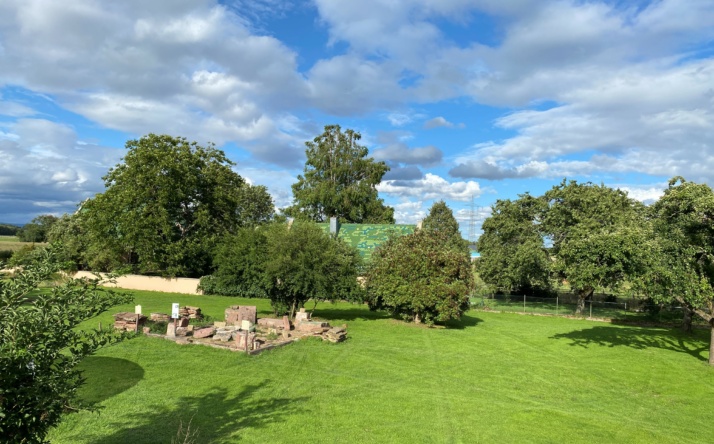 Burg Wersau in Reilingen wird zur Bühne für politische Gartenparty