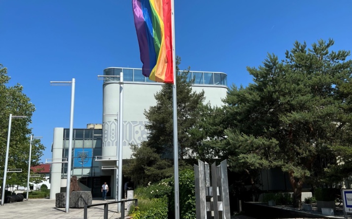 Walldorf: Der Regenbogen sorgt für Diskussionen im Rat