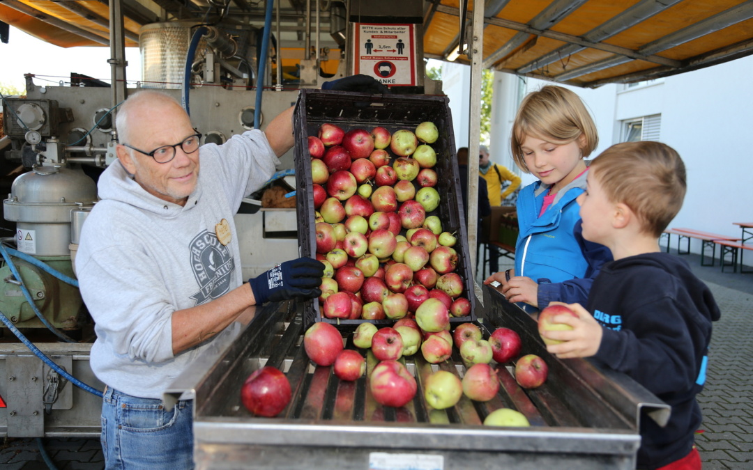 Walldorf: Städtische Äpfel ernten und Apfelsaft bekommen