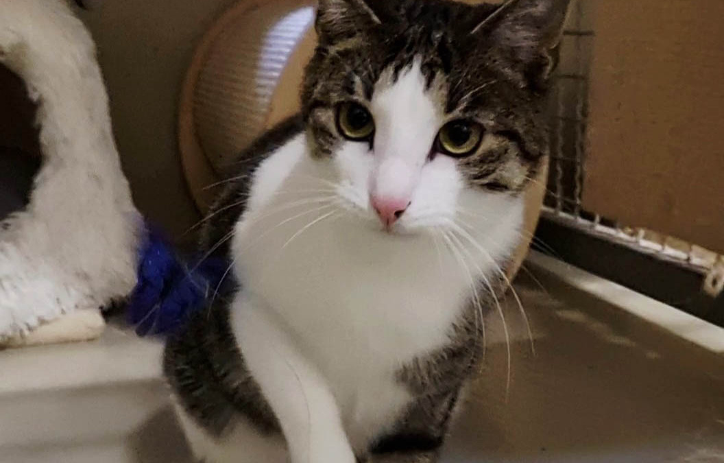 Wohin nur mit der ganzen Energie?