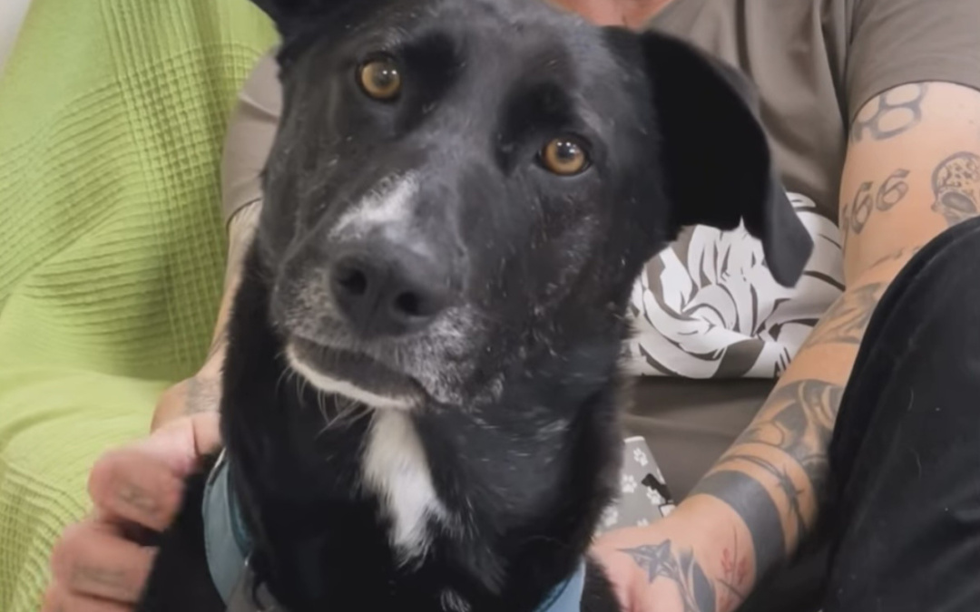 Man lernt nie aus – das gilt für Mensch und Tier