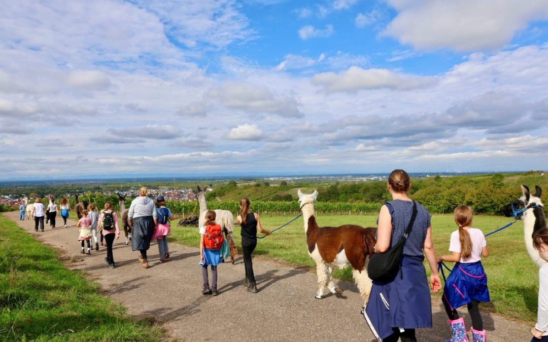Lama-Wanderung für Kinder