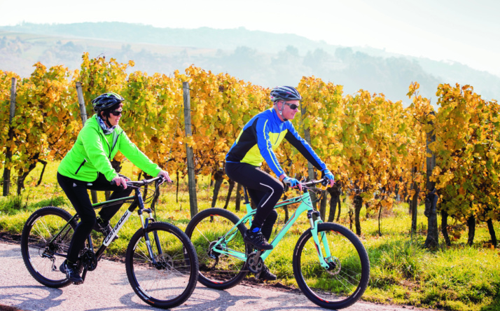 RadGuides Rhein-Neckar: Letzte Tour