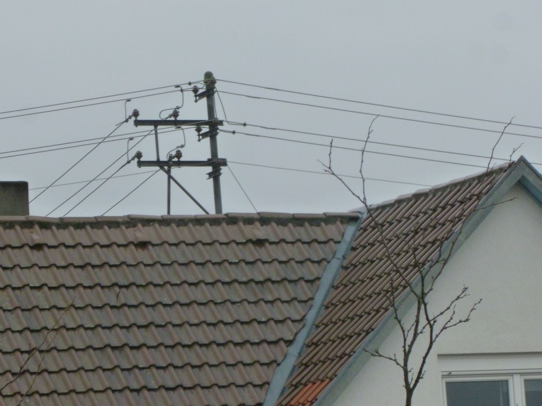 82_Dachständer_WA_Fenster