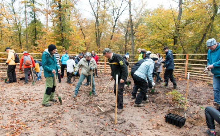 Mit Baumpflanzaktion die Schwetzinger Hardt für die Klimazukunft fit machen