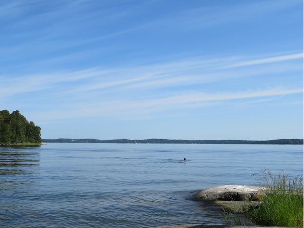 Symbolbild-Naturschutz-Eva-Kristiansson-Pexels Naturschutz