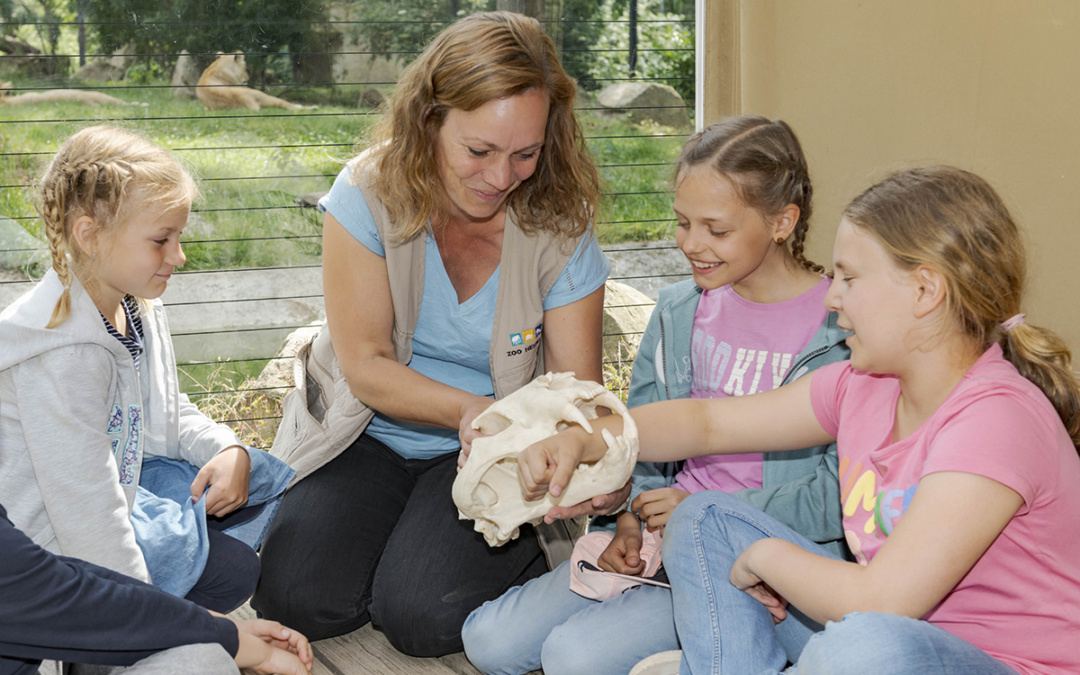 Zoo-Akademie Heidelberg präsentiert vielfältiges Jahresprogramm 2026