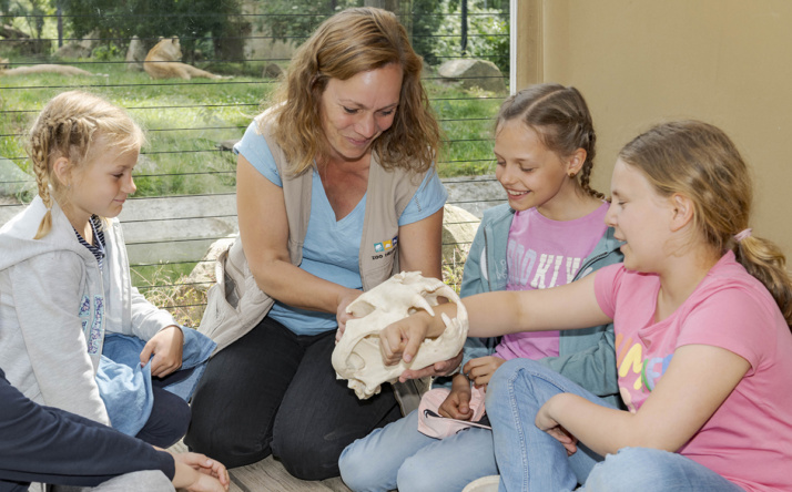 Zoo-Akademie Heidelberg präsentiert vielfältiges Jahresprogramm 2026