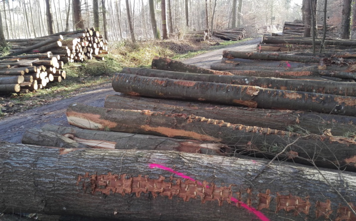 Brennholz bequem online kaufen