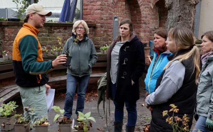 Innenhof der Stadtbücherei Walldorf wird zum grünen Lebensraum