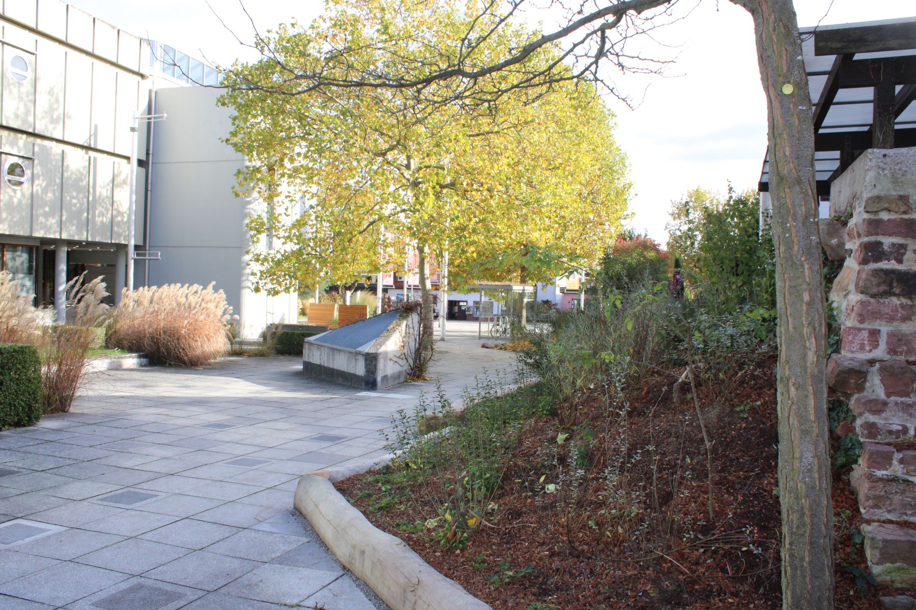 Rathausplatz_2025_15