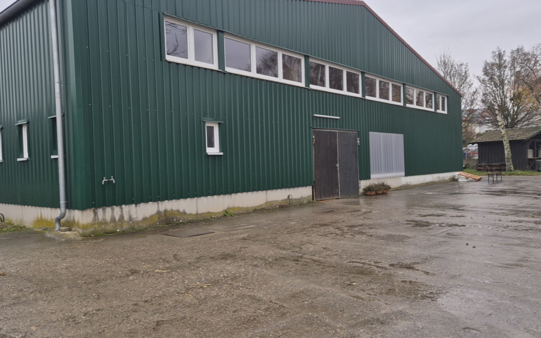 Aus Alt mach Neu: Reitverein Wiesloch feiert sanierte Reithalle