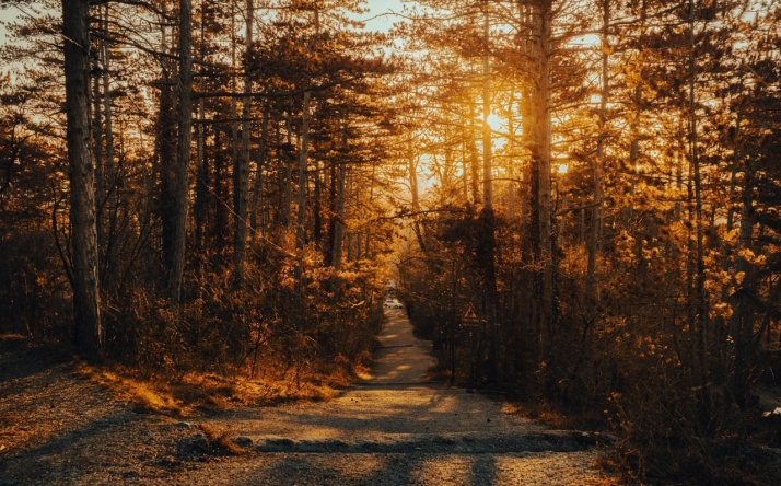 Unverzichtbare Ausrüstung für gemütliche Herbstwanderungen