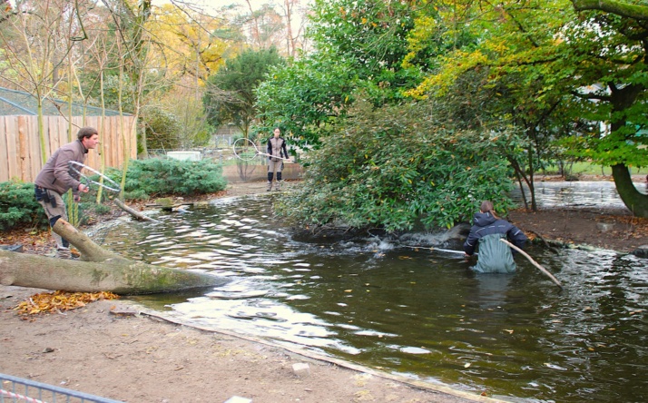Tierpark Walldorf beugt der Vogelgrippe vor