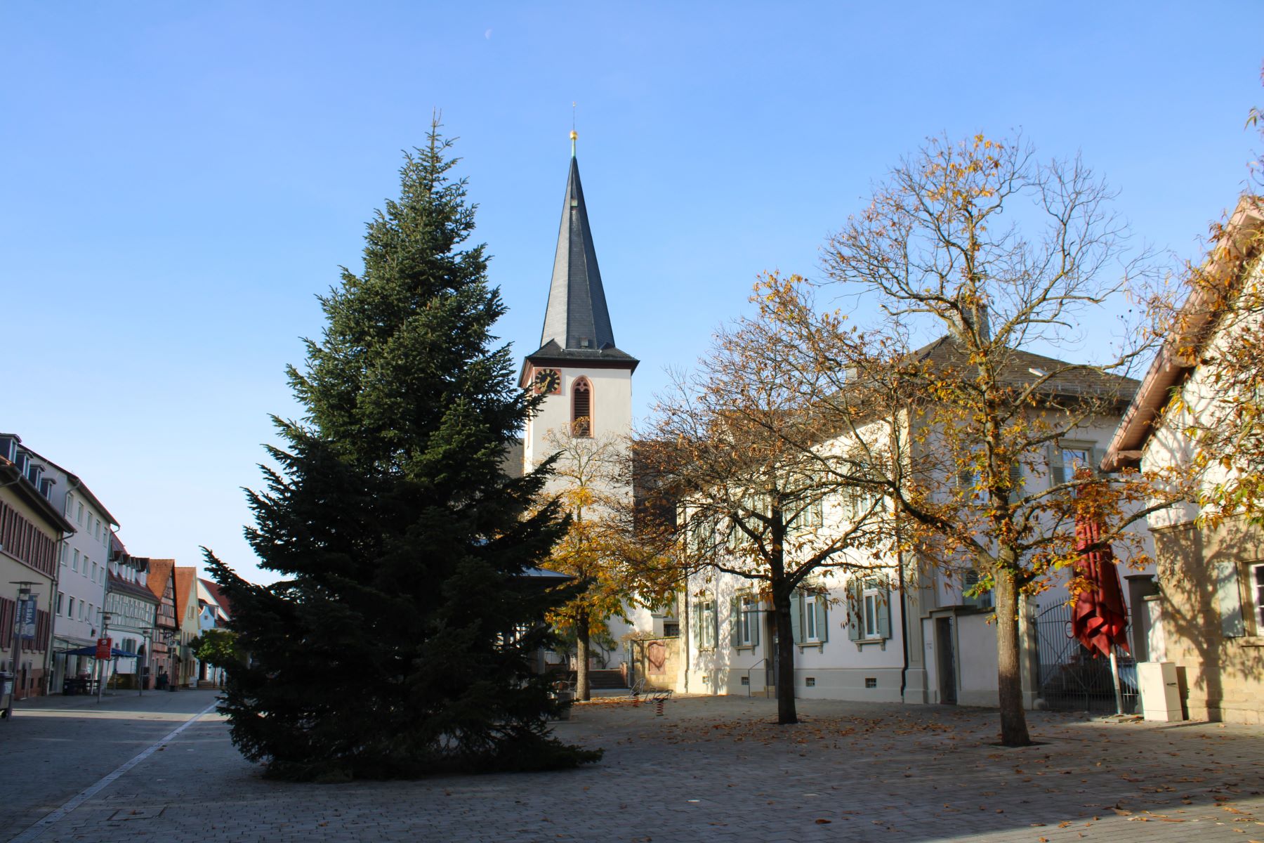 Weihnachtsbaum_1670