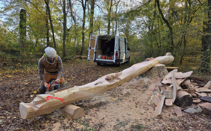 Neue Attraktion im Wieslocher Dämmelwald: Murmelbahn aus altem Eichenstamm