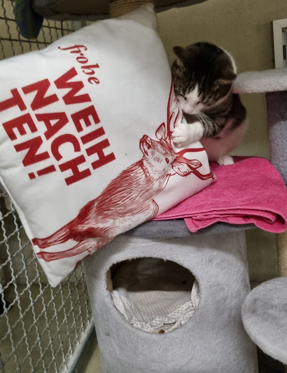 20251214_101037 Tierschutzverein Wiesloch