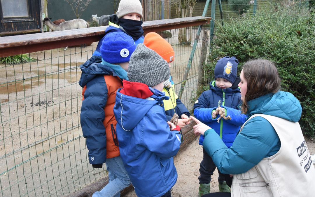 Faschingsferien im Zoo Heidelberg