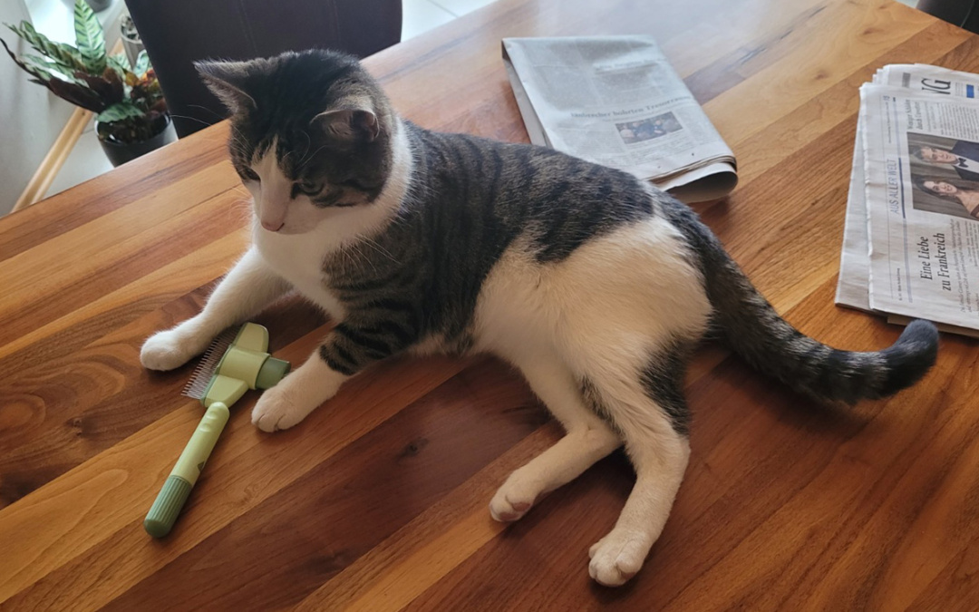 Jahresstart mit einem besonderen Happy End