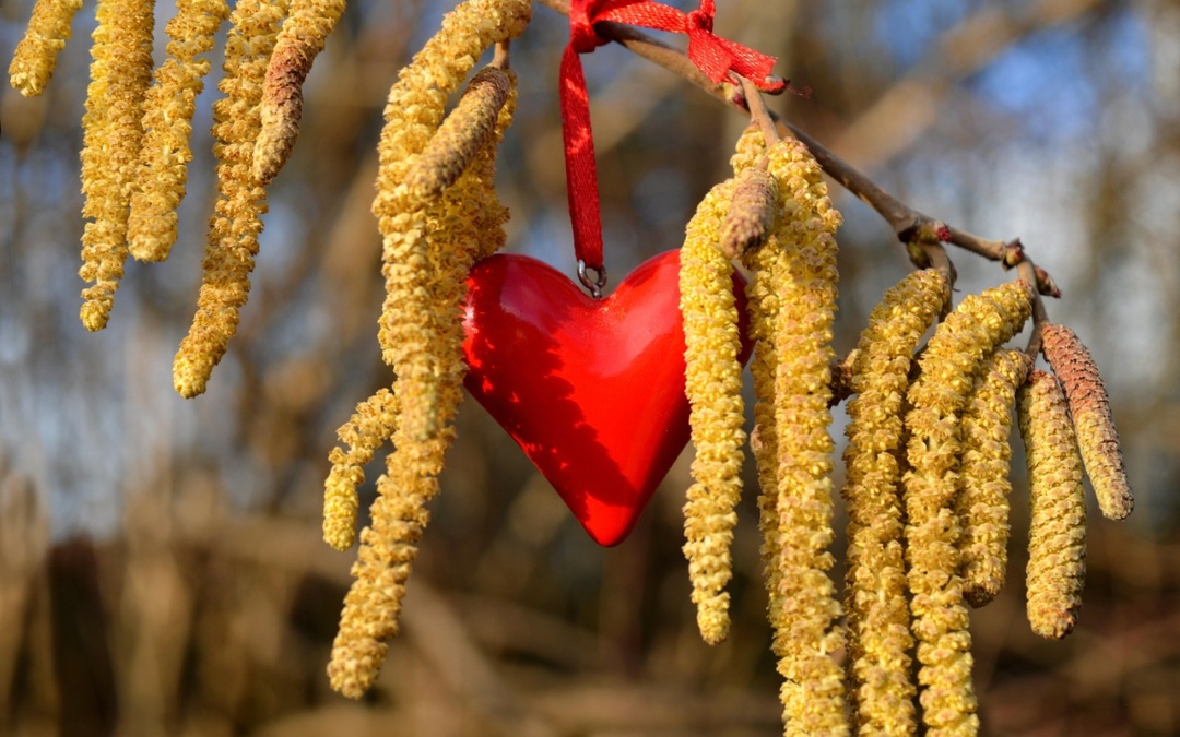 Valentinstag 2026: Die besten Geschenkideen zum Valentinstag