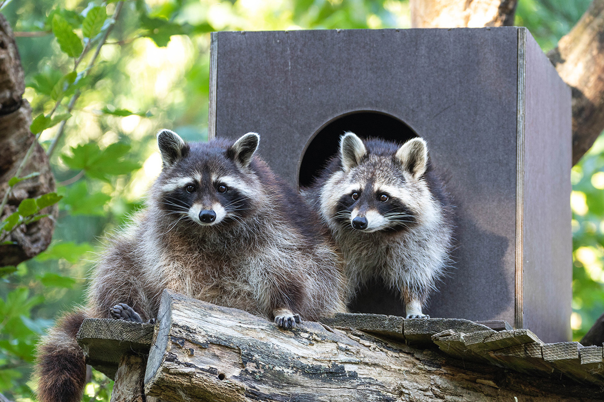 260211_Saisonstart_1_kl Saisonstart