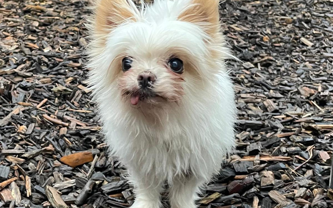 Aron: Wenn plötzlich alles Vertraute fehlt