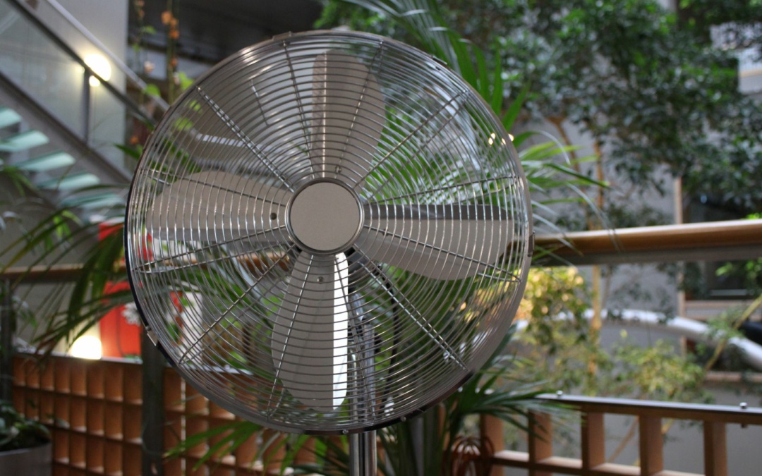 Gemeinderat Walldorf fällt Beschlüsse zur Hitzeproblematik in städtischen Einrichtungen