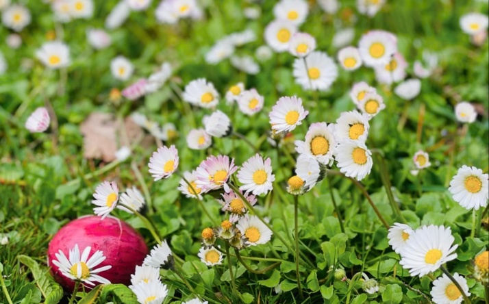 Kükentreffen von NABU Wiesloch und WiWa Familie am Ostersamstag im Gerbersruhpark