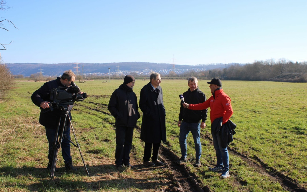 Frühlingserwachen auf der Storchenwiese