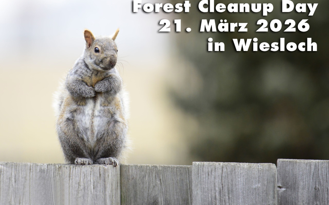 Forest Clean Up Day 2026 in Wiesloch