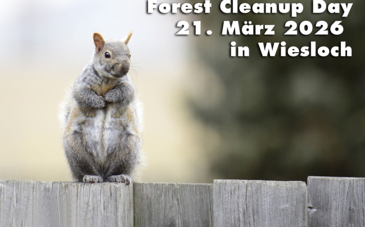 Forest Clean Up Day 2026 in Wiesloch