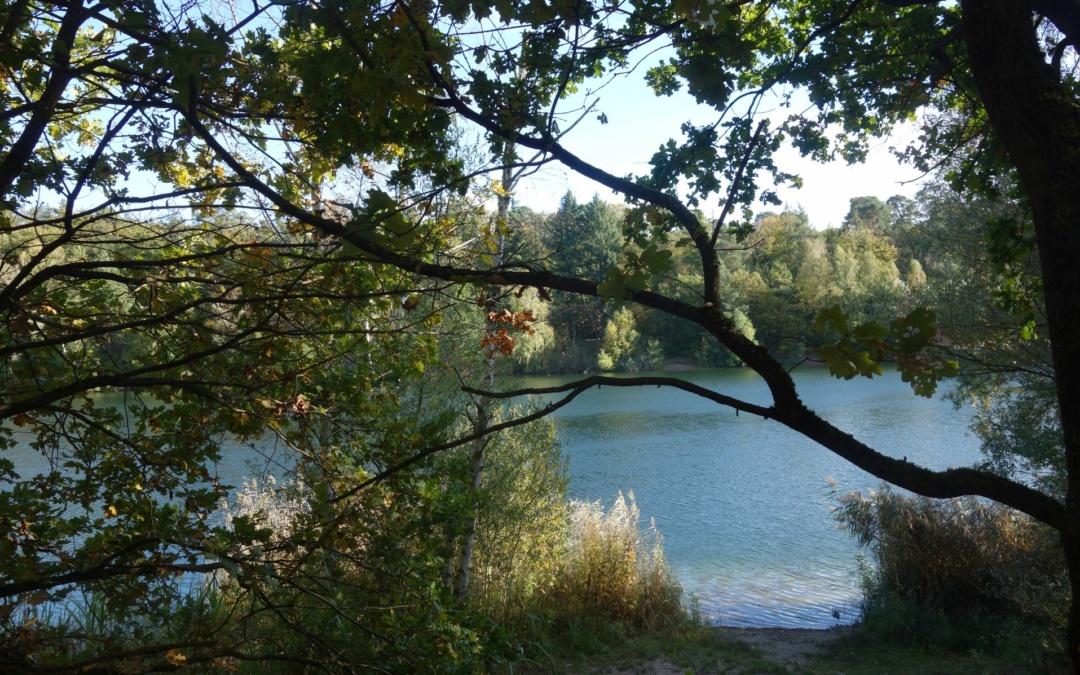 Waldjugendtag im Hochholz am 25. April