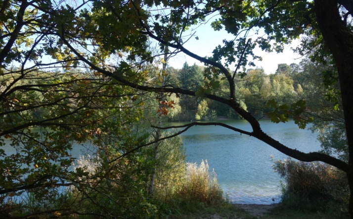 Waldjugendtag im Hochholz am 25. April