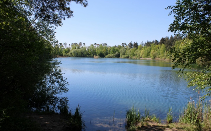 Hochholzer See: Biodiversitätsmonitoring wird fortgesetzt – Bürger können sich beteiligen