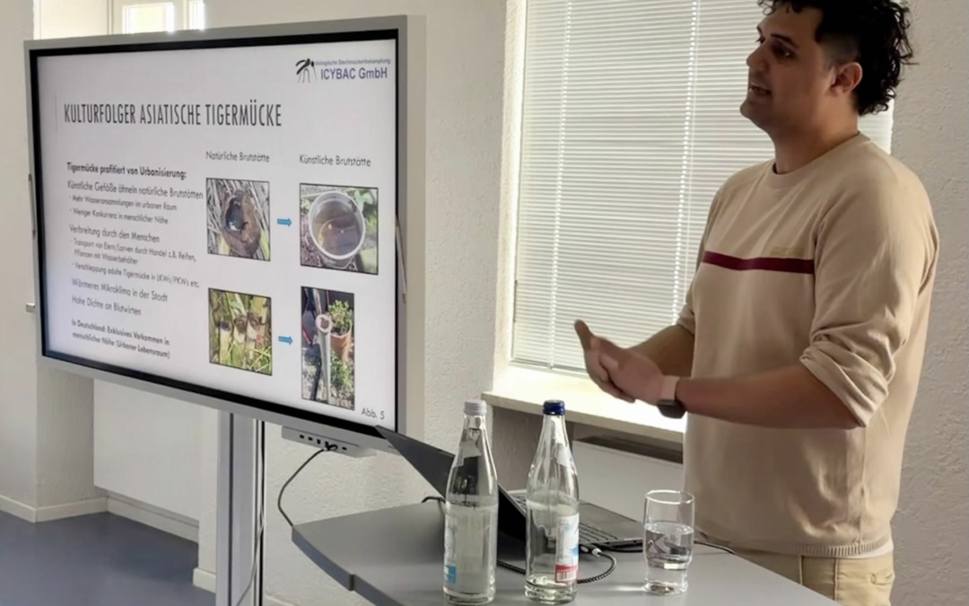Vortrag zur Asiatischen Tigermücke stieß auf großes Interesse