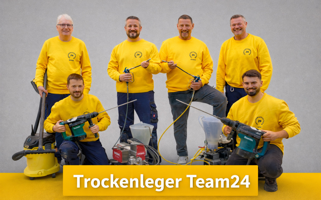 Interview mit dem Trockenleger Team24 aus Berlin: