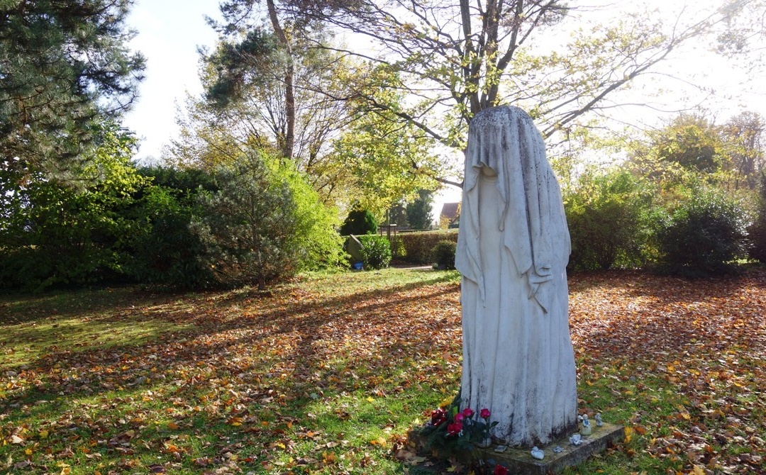 Walldorf: Ameisen auf dem Friedhof