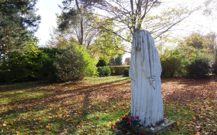 Walldorf: Ameisen auf dem Friedhof