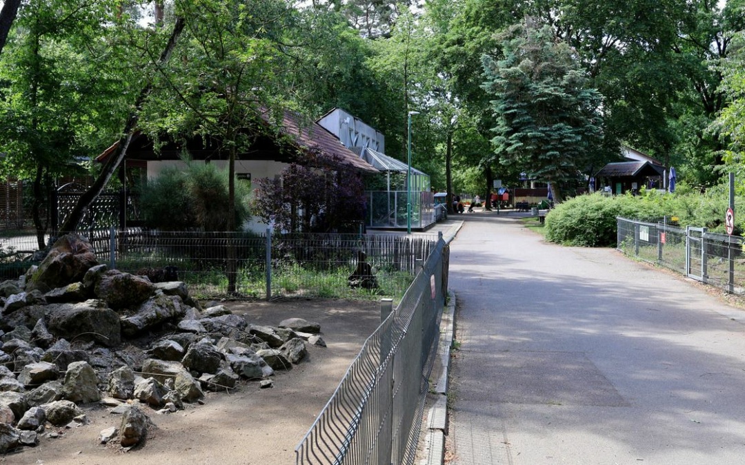 Umfrage zum Tierpark Walldorf