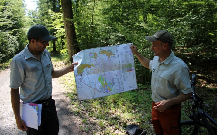 Der Wald im Wandel