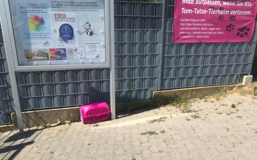 Dringender Appell aus dem Tom-Tatze-Tierheim in Walldorf